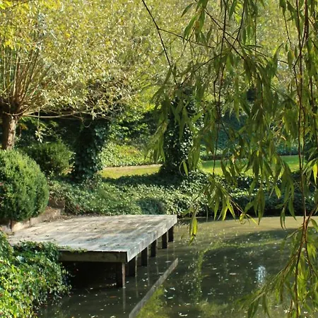 Rose 住宿加早餐酒店