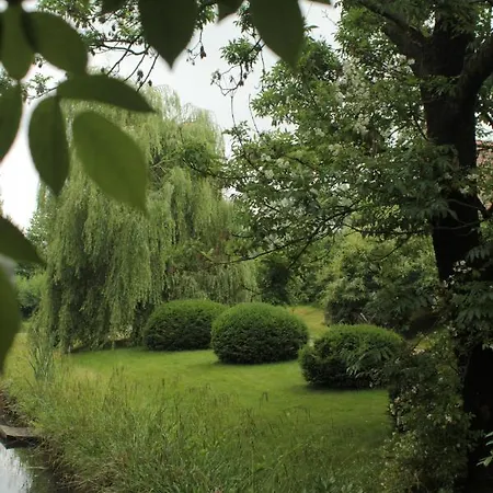 Rose 住宿加早餐酒店 *