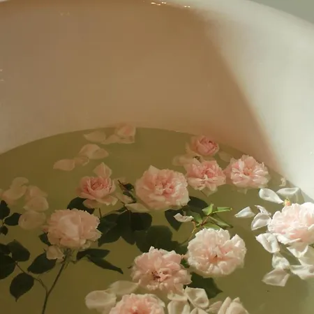 Rose Oda ve Kahvaltı