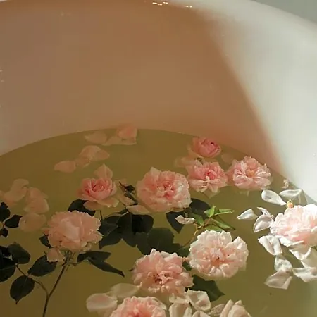 Rose * Dobroszyce