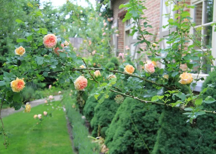 Frühstückspension Rose Dobroszyce