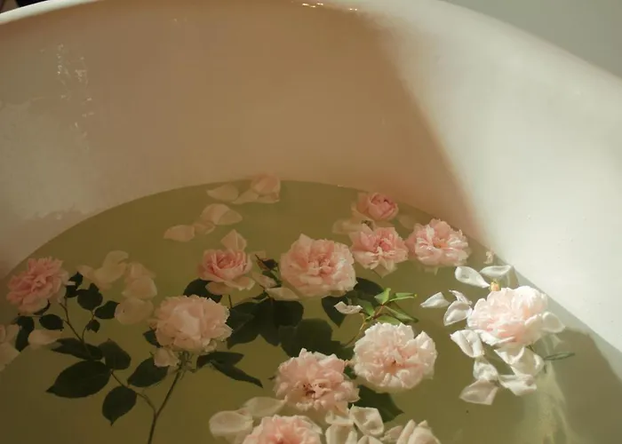 Rose Frühstückspension